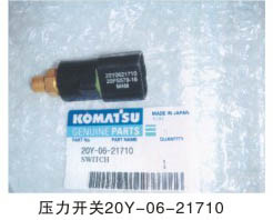 壓力開(kāi)關(guān)20Y-06-21710